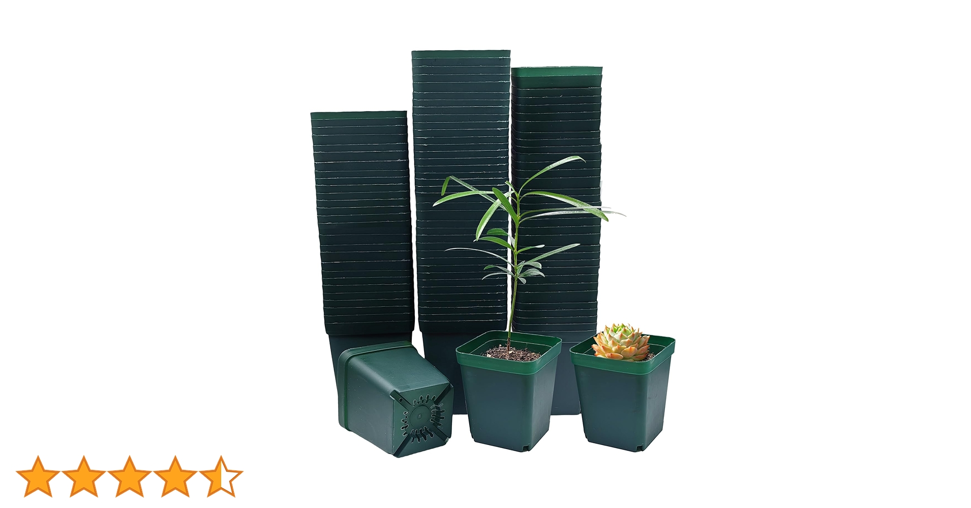 Amazon.co.jp: RooTrimmer 育苗ポット 8cm 100個入り 正方形 苗